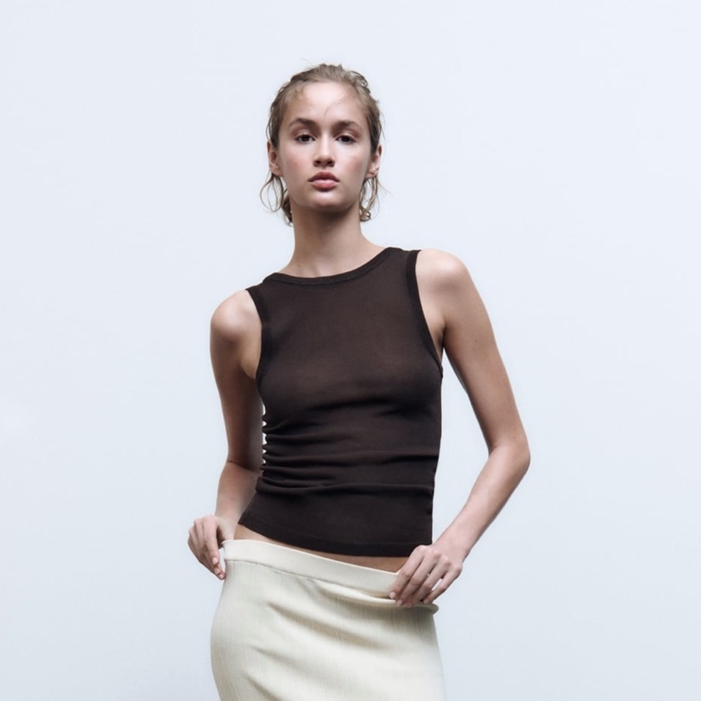 Zara Brown Sleeveless Knit Top